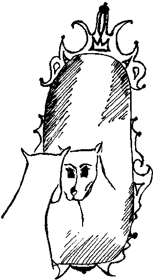Про волков, собак и кошек i_016.png