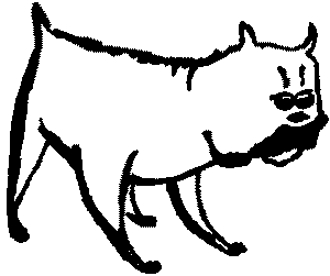 Про волков, собак и кошек i_017.png