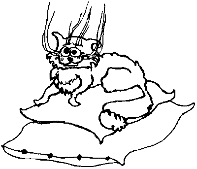 Про волков, собак и кошек i_019.png