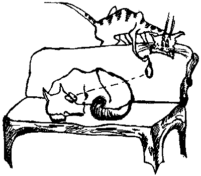 Про волков, собак и кошек i_004.png