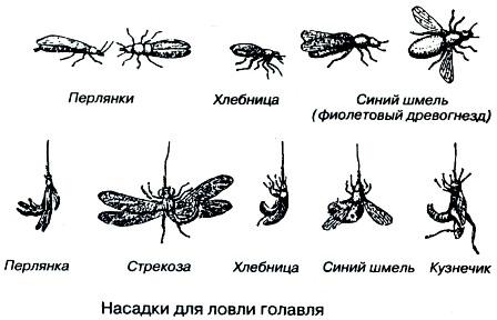 Тайны рыбацкого счастья i_005.jpg