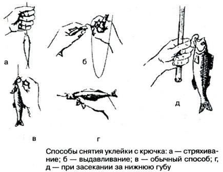 Тайны рыбацкого счастья i_035.jpg