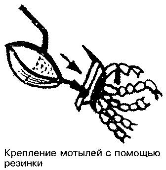 Тайны рыбацкого счастья i_057.jpg