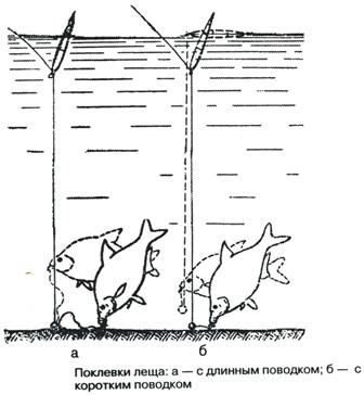 Тайны рыбацкого счастья i_013.jpg