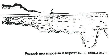 Тайны рыбацкого счастья i_019.jpg