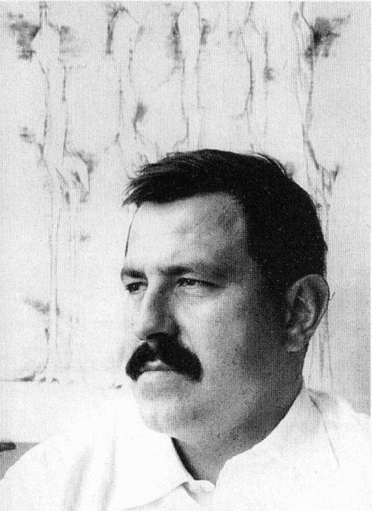 Встреча в Тельгте. Головорожденные, или Немцы вымирают. Крик жерлянки i_015.jpg