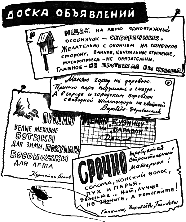 Вести из леса i_055.png