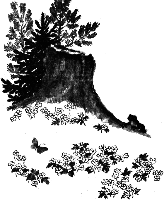 Вести из леса i_058.png