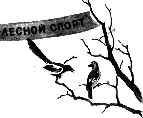 Вести из леса i_013.png