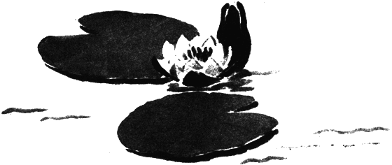 Вести из леса i_085.png