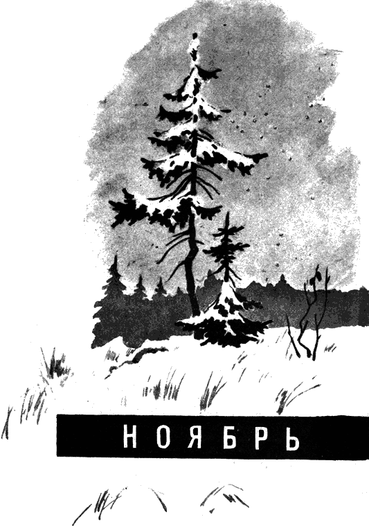 Вести из леса i_132.png