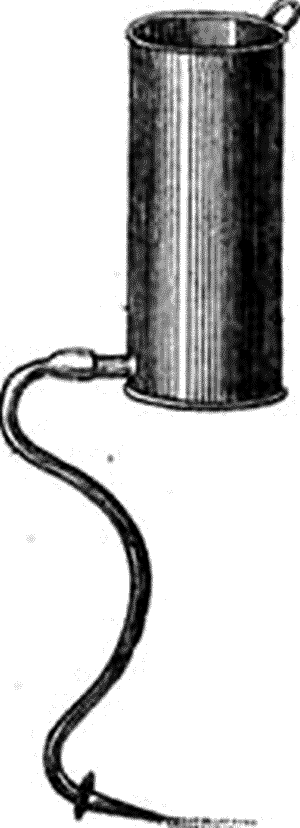 Болезни собак. Краткое руководство. Наружные болезни i_030.png