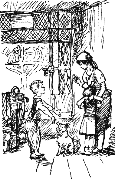 Чья это собака? Novos122.png