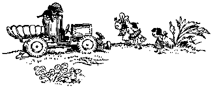 Приключения Незнайки pic_79.png