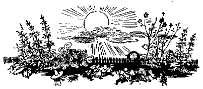 Приключения Незнайки pic_153.png