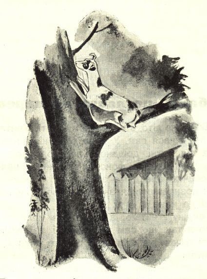 Хитрі качки (збірка) doc2fb_image_02000008.jpg