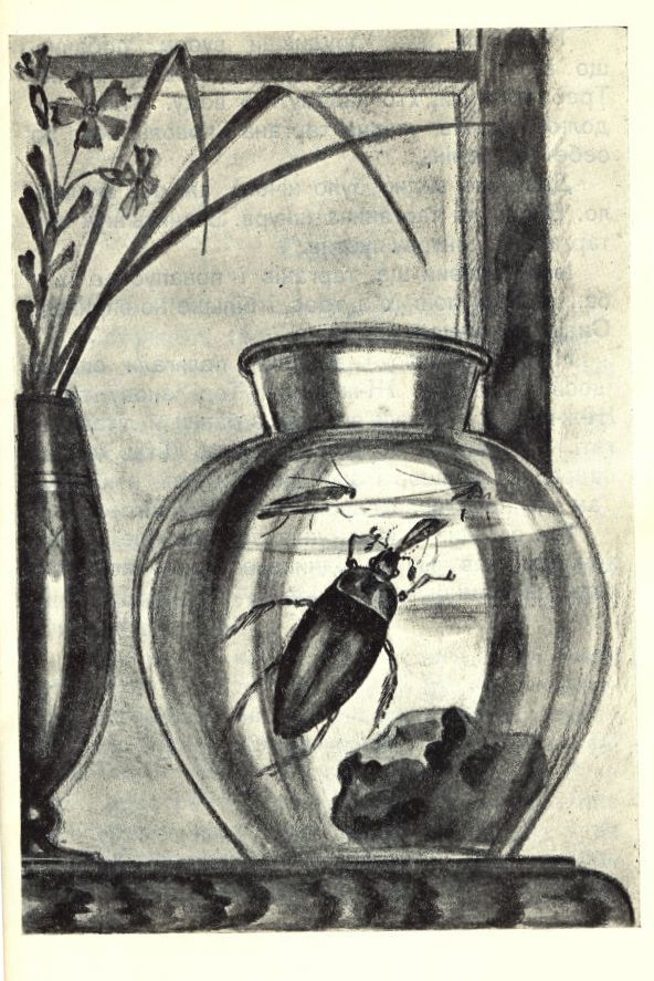 Хитрі качки (збірка) doc2fb_image_0200000B.jpg
