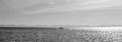 Литературная Газета  6284 ( № 29 2010) TAGhttp___www_lgz_ru_userfiles_image_30_6285_2010_5-3_jpg274359