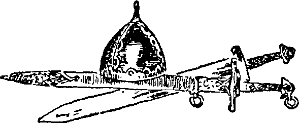Набег (с илл.) i_034.png