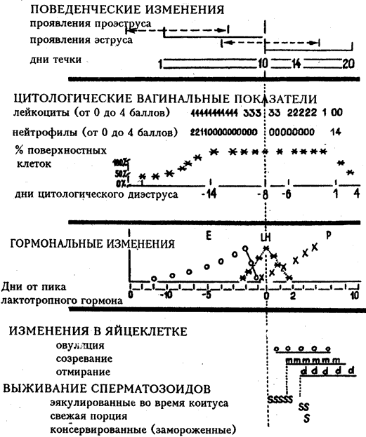 Допинги в собаководстве i_030.png