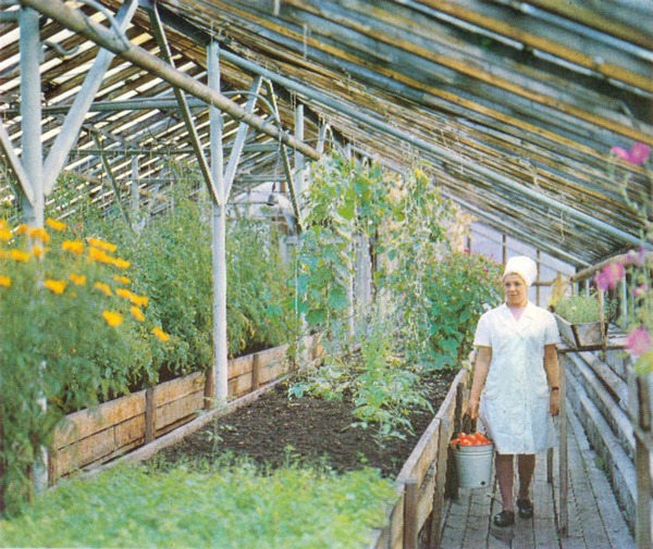 Между Полюсом и Европой _23.jpg