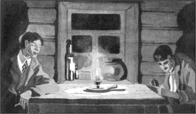 Безумный лама (сборник) i_007.jpg