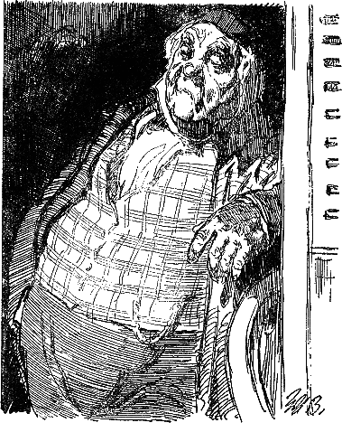 Дамское счастье (с илл.) i_005.png