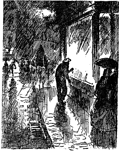 Дамское счастье (с илл.) i_007.png