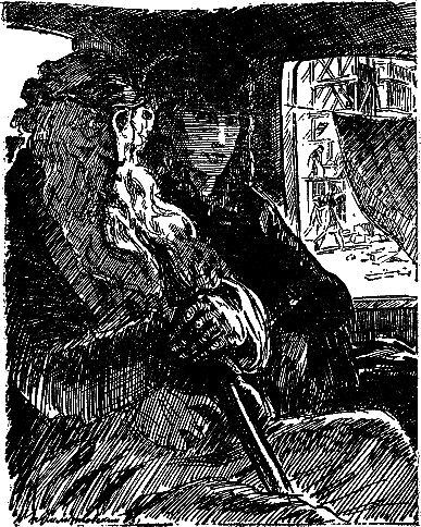 Дамское счастье (с илл.) i_033.png
