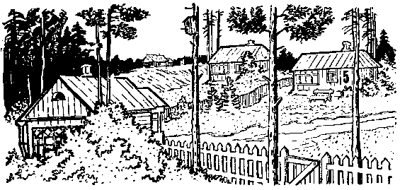 Десять дней одни втроем (рассказ одной девочки) pic_4.png