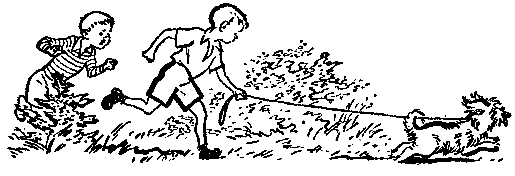 Десять дней одни втроем (рассказ одной девочки) pic_25.png