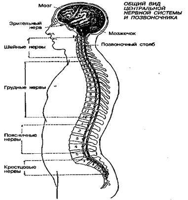 Шокирующая правда о воде и соли any2fbimgloader14.jpeg