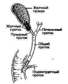 Шокирующая правда о воде и соли any2fbimgloader15.jpeg