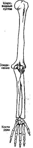Шокирующая правда о воде и соли any2fbimgloader18.jpeg