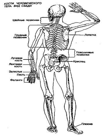 Шокирующая правда о воде и соли any2fbimgloader24.jpeg