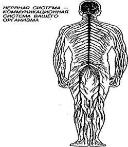 Шокирующая правда о воде и соли any2fbimgloader26.jpeg