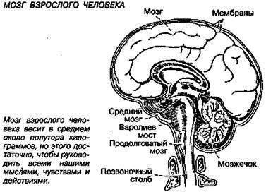 Шокирующая правда о воде и соли any2fbimgloader29.jpeg