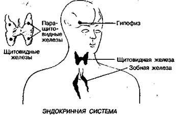 Шокирующая правда о воде и соли any2fbimgloader30.jpeg