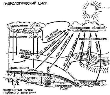 Шокирующая правда о воде и соли any2fbimgloader0.jpeg