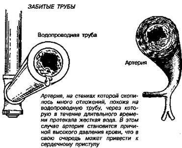 Шокирующая правда о воде и соли any2fbimgloader45.jpeg