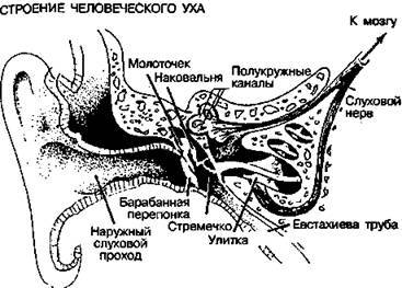 Шокирующая правда о воде и соли any2fbimgloader46.jpeg