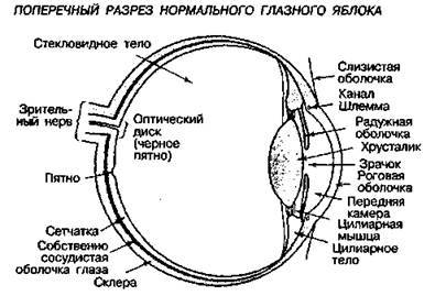 Шокирующая правда о воде и соли any2fbimgloader47.jpeg
