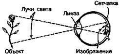 Шокирующая правда о воде и соли any2fbimgloader48.jpeg