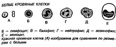 Шокирующая правда о воде и соли any2fbimgloader49.jpeg