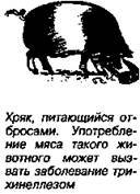 Шокирующая правда о воде и соли any2fbimgloader52.jpeg