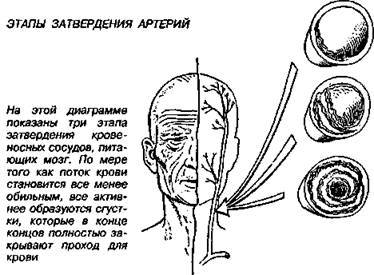 Шокирующая правда о воде и соли any2fbimgloader53.jpeg
