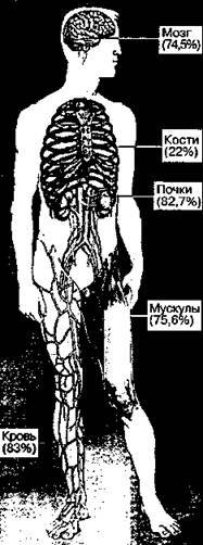 Шокирующая правда о воде и соли any2fbimgloader1.jpeg