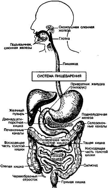 Шокирующая правда о воде и соли any2fbimgloader7.jpeg