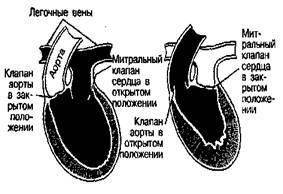 Шокирующая правда о воде и соли any2fbimgloader8.jpeg