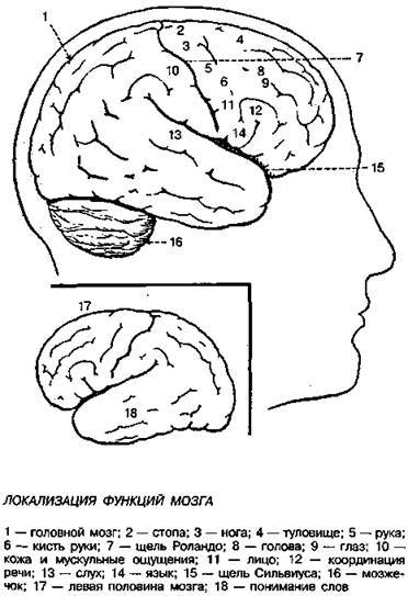 Шокирующая правда о воде и соли any2fbimgloader9.jpeg